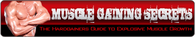 muscle gainers