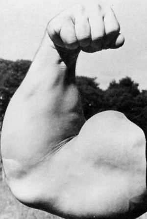 Big Forearms