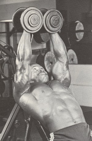 Free Online Muscle Building Workout Plans : Herbal Well Being Supplements Through Athletes
